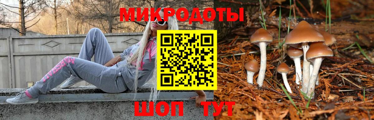 Псилоцибиновые грибы Cubensis Учалы